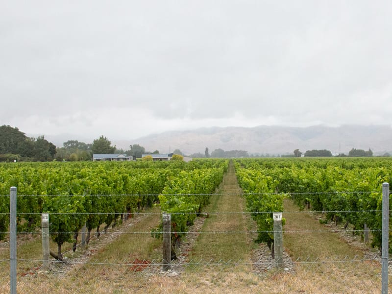20220208-Matua-3