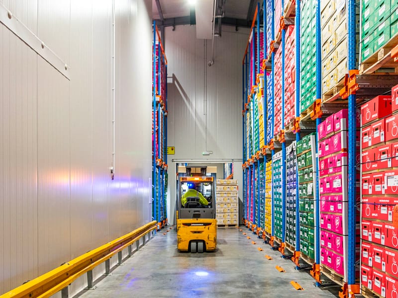 Yellow forklift operating in a cold storage warehouse with high racking.